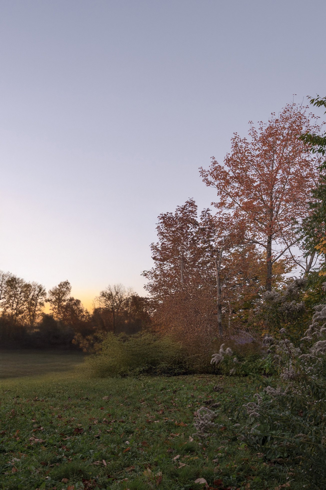 191669c99439e357da4c0be6becf0ffff9918c9a