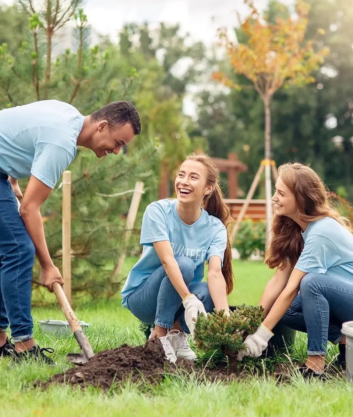 AdobeStock_480180020 2 (30)