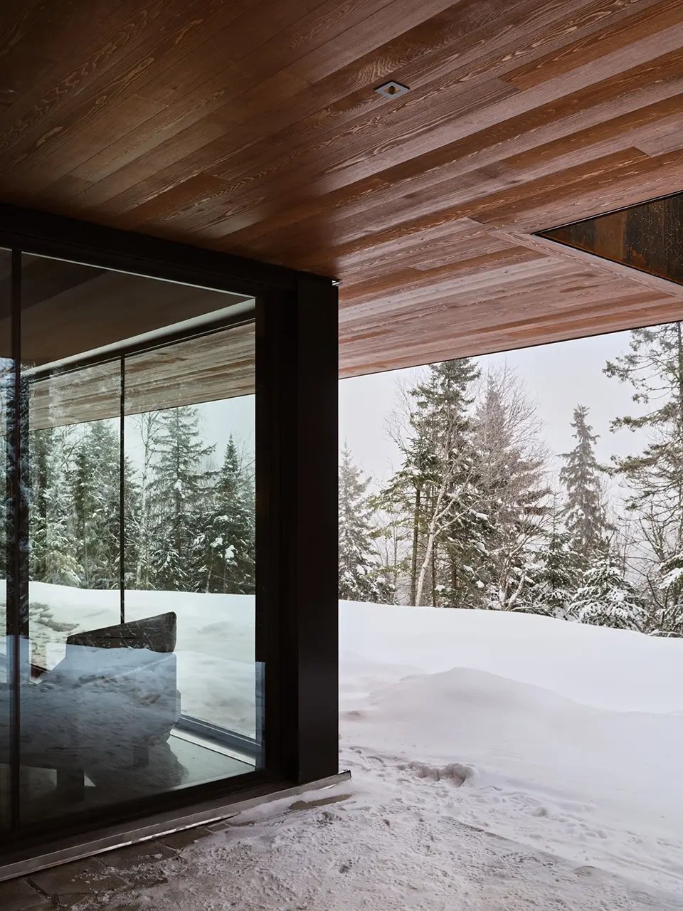 Des_hiboux_68_Web copy