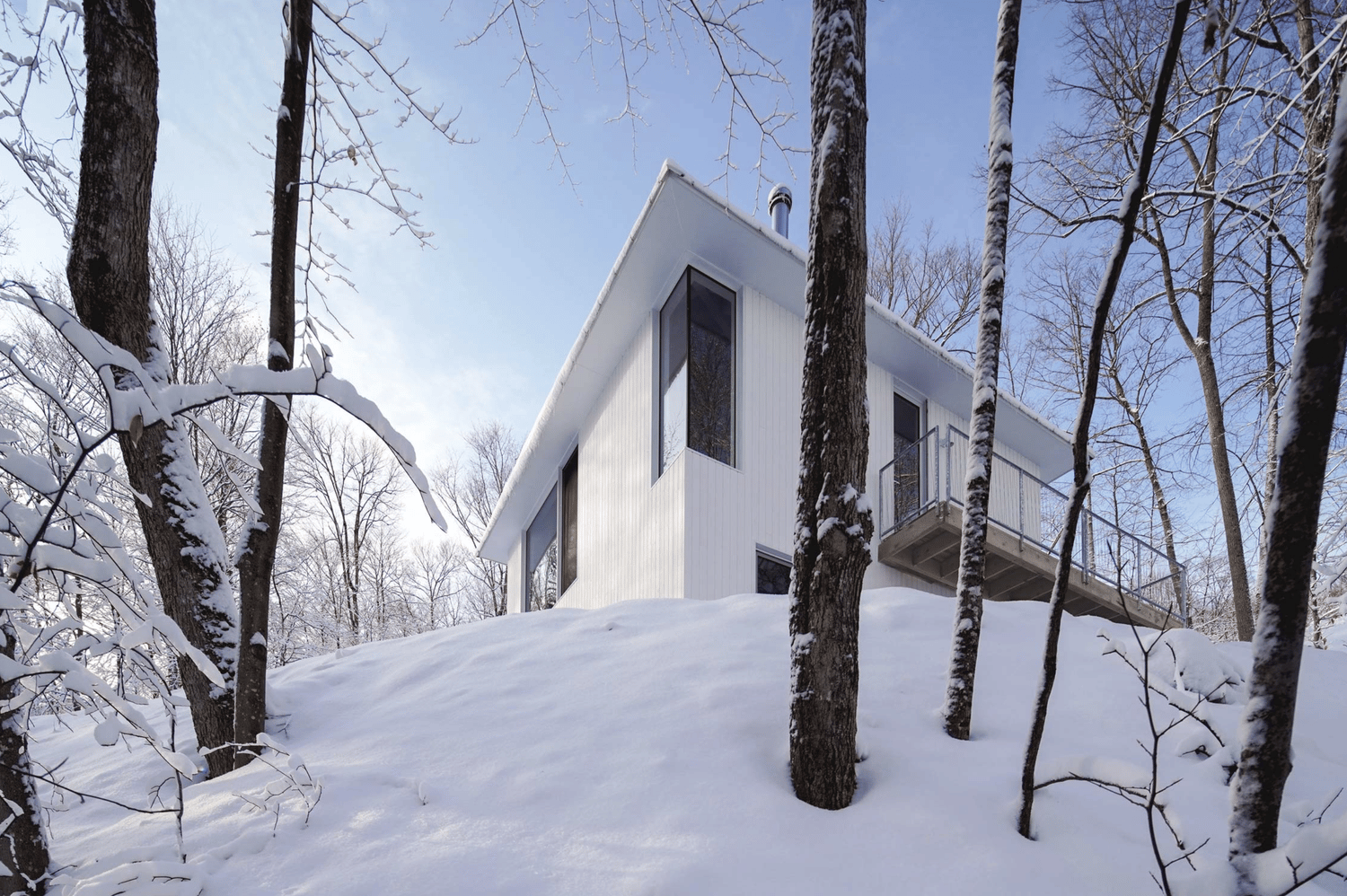 Screen+Shot+2023-02-20+at+1.38.38+PM