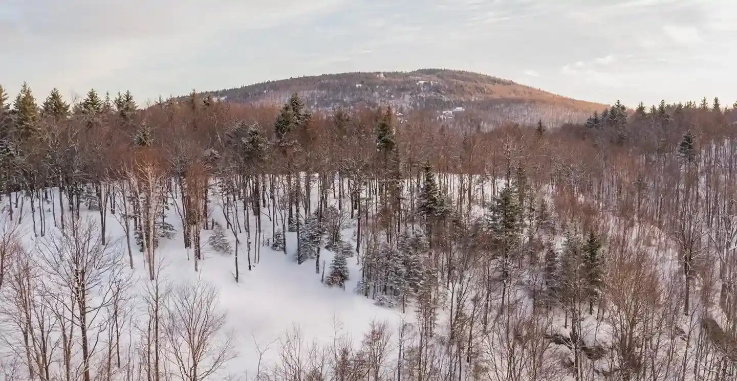 Screen+Shot+2023-02-21+at+2.43.41+PM 2-1