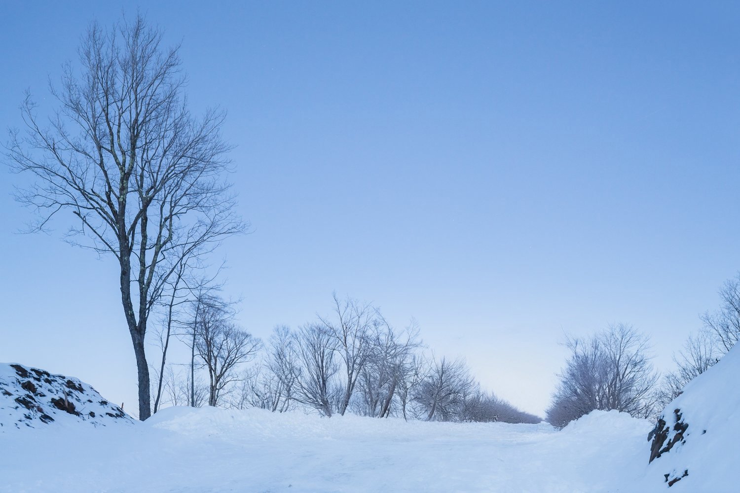 f5f7c55c148e5f6c9b199a427bc5ba4806ce4ba8